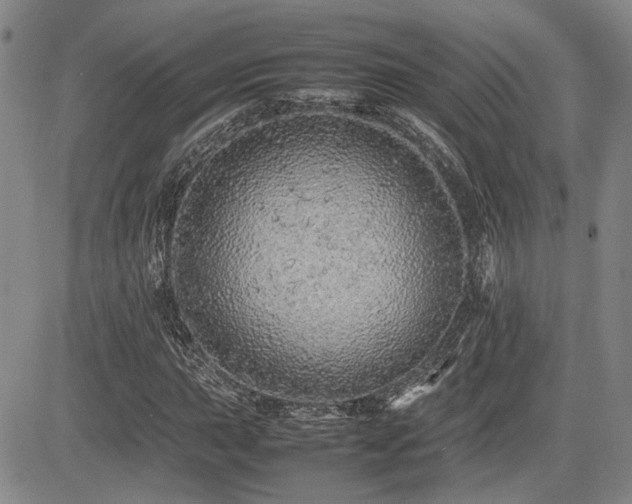X0000085071015200703051401