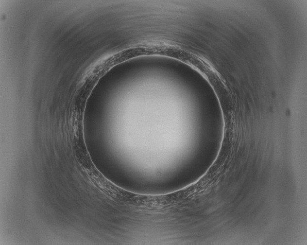 X0000085071016200703051401