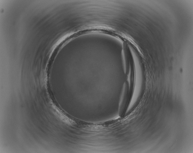 X0000085071024200703051401