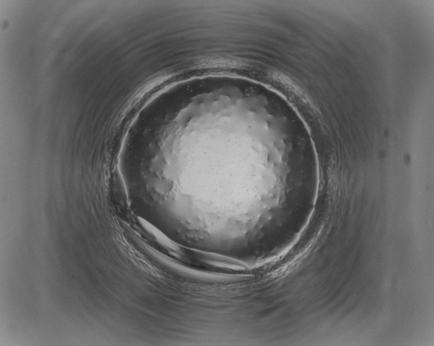 X0000085071025200703051401