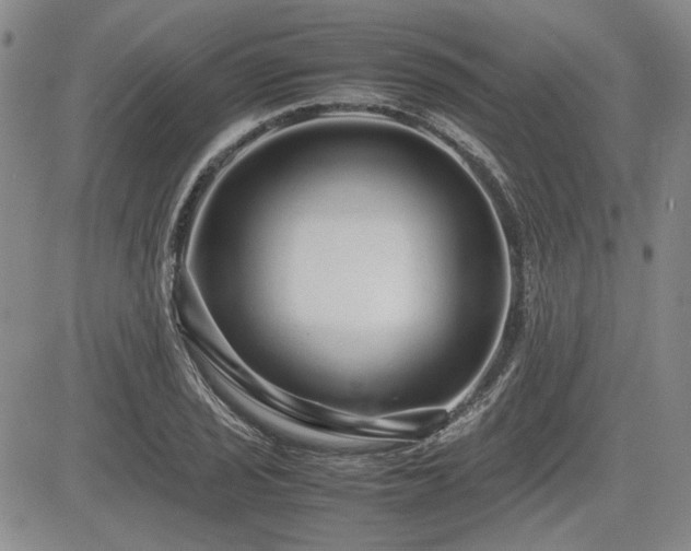 X0000085071029200703051401