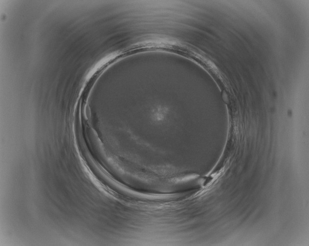 X0000085071034200703051401