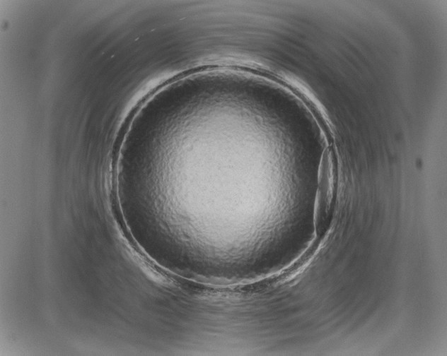 X0000085071040200703051401