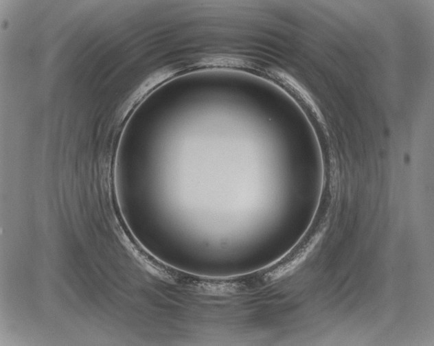 X0000085071041200703051401