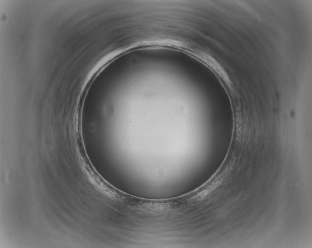 X0000085071044200703051401