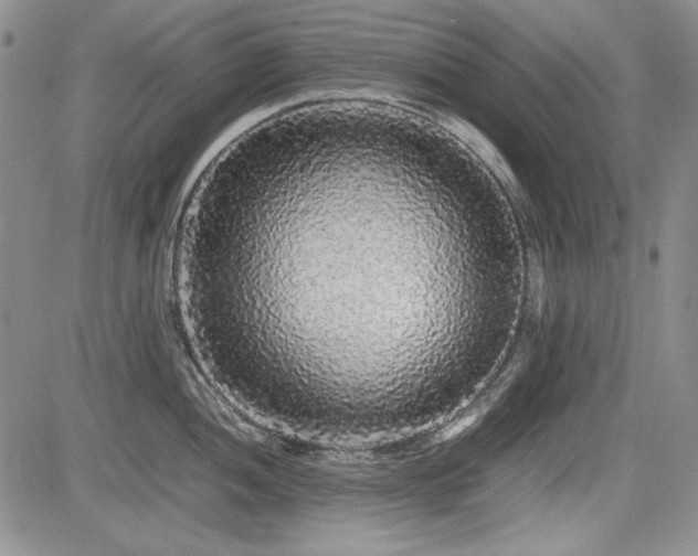 X0000085071052200703051402