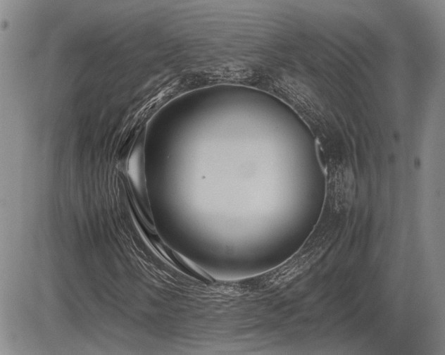 X0000085071058200703051401