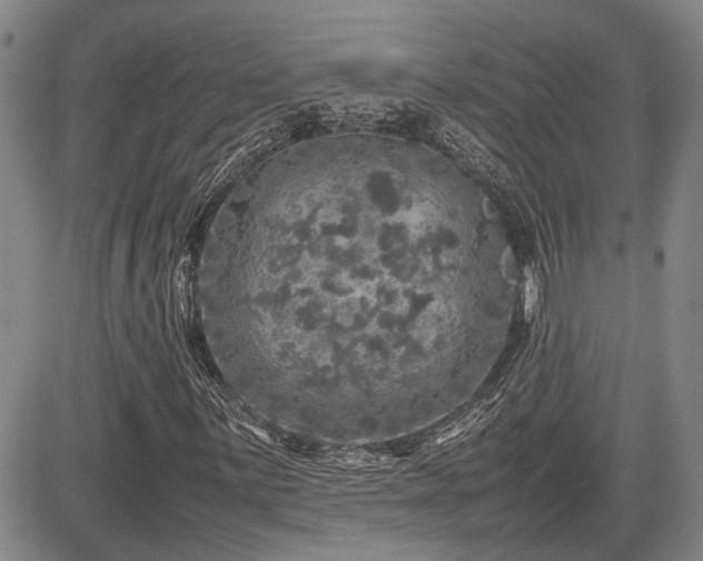 X0000085071059200703051401