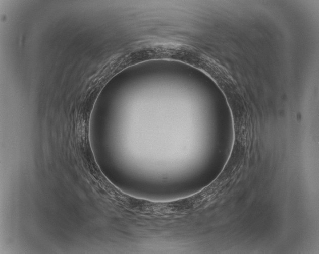 X0000085071061200703051401