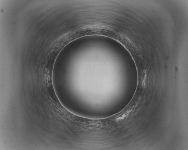 X0000085071062200703051401