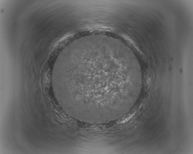 X0000085071063200703051401