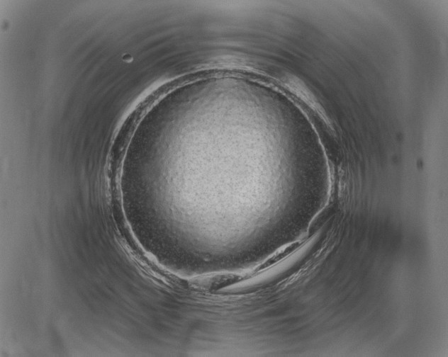 X0000085071068200703051401