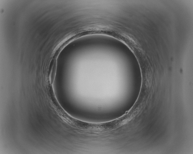 X0000085071073200703051400