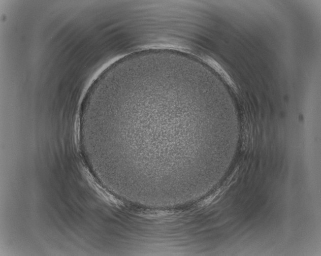 X0000085071076200703051400