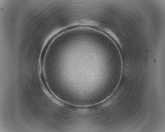 X0000085071080200703051400