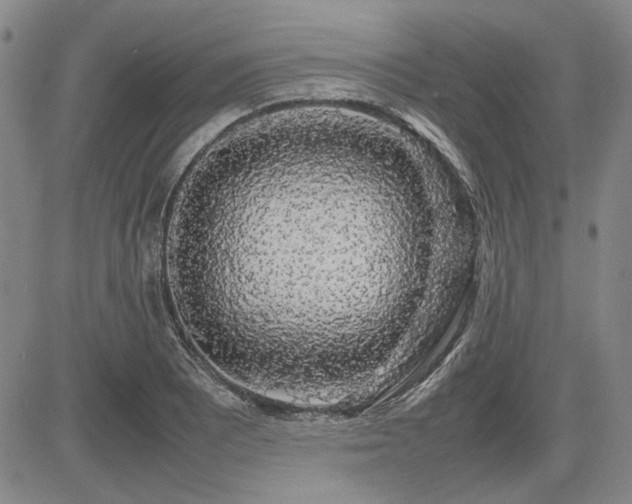 X0000085071081200703051400
