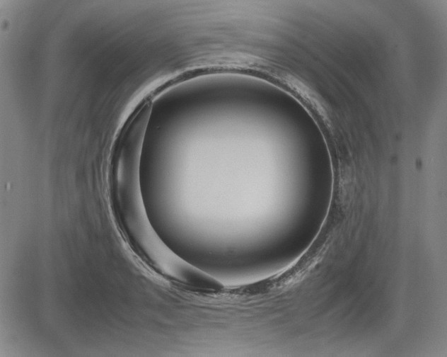 X0000085071085200703051400