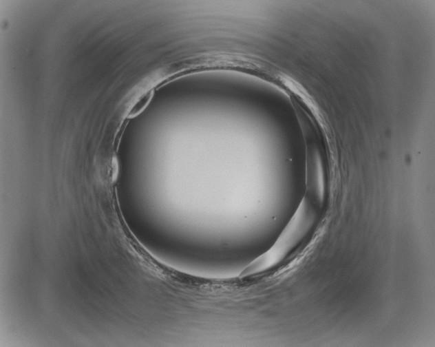 X0000085071089200703051400