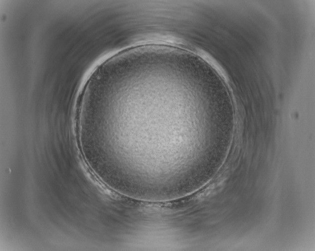 X0000085071104200703051400