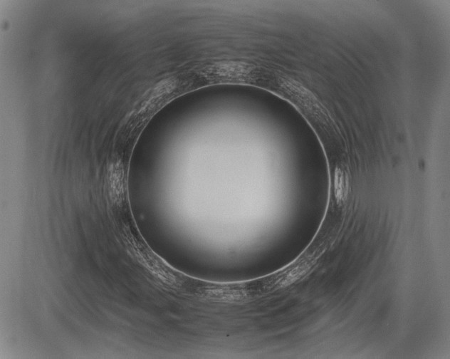 X0000085071107200703051359