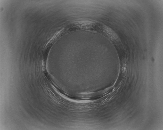 X0000085071108200703051359