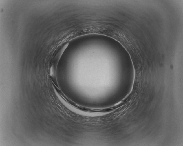 X0000085071109200703051359