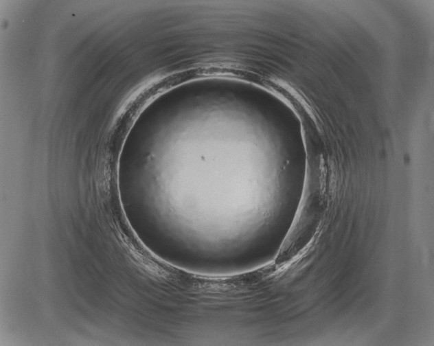 X0000085071115200703051359