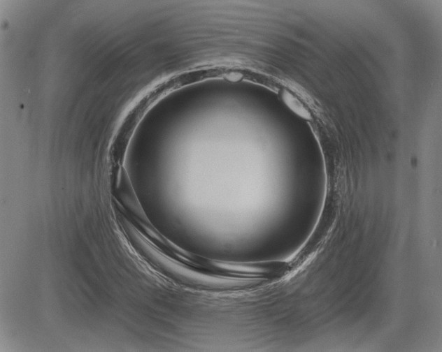 X0000085071118200703051359