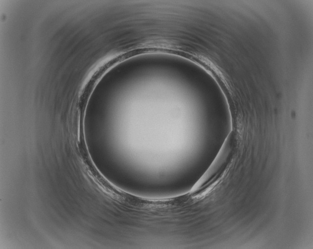 X0000085071123200703051359