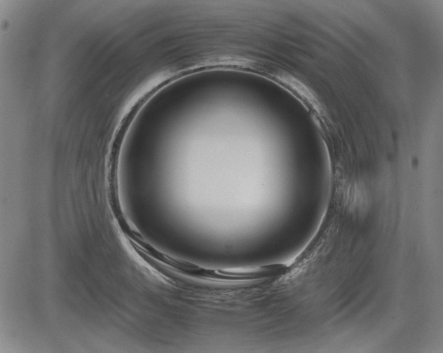 X0000085071135200703051400