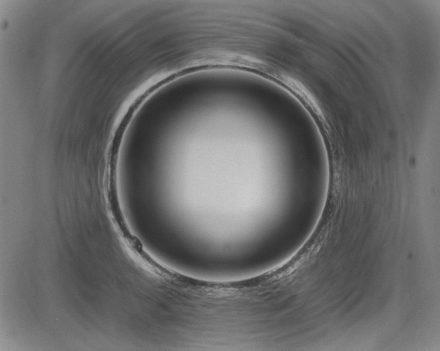 X0000085071136200703051400