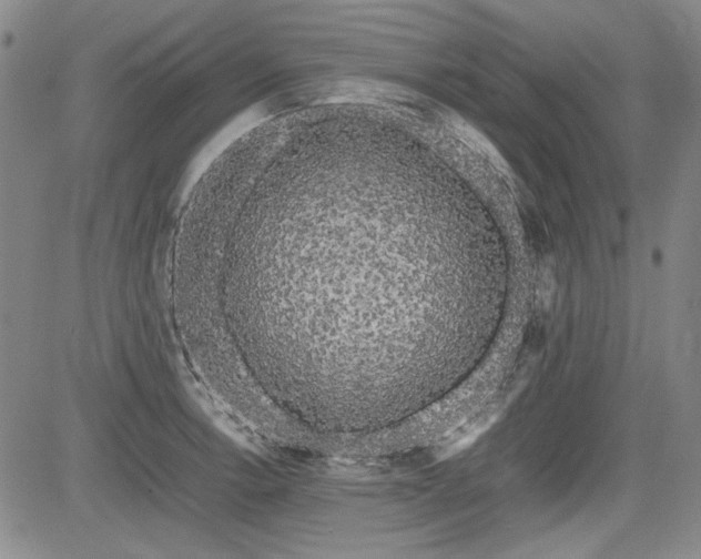 X0000085071138200703051400
