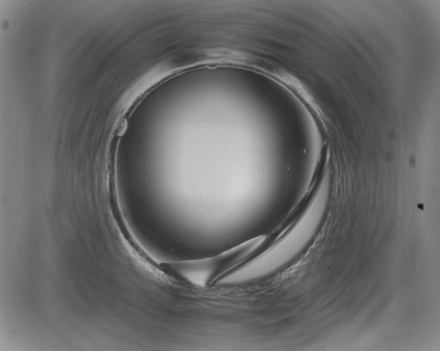 X0000085071143200703051400