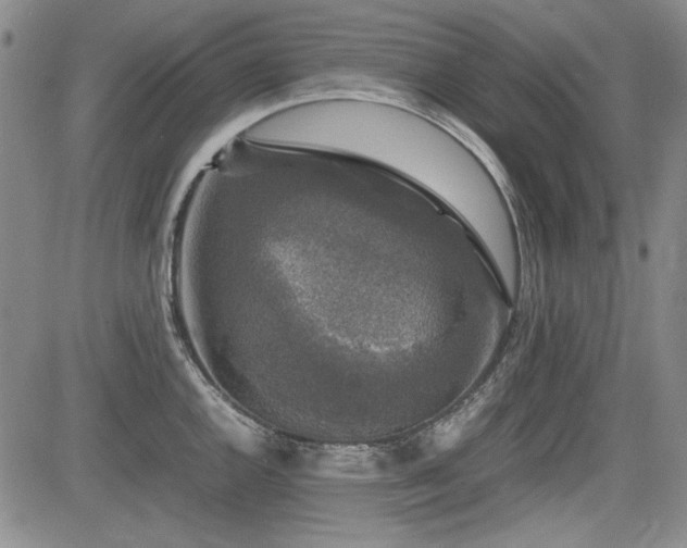 X0000085071144200703051400