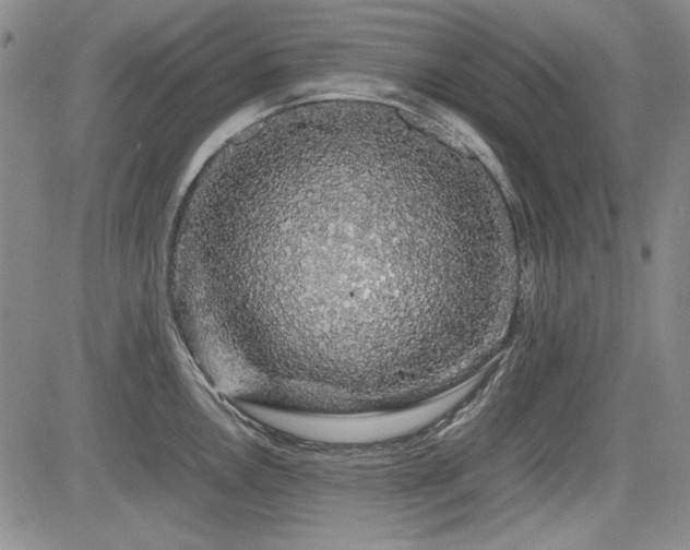 X0000085071146200703051400
