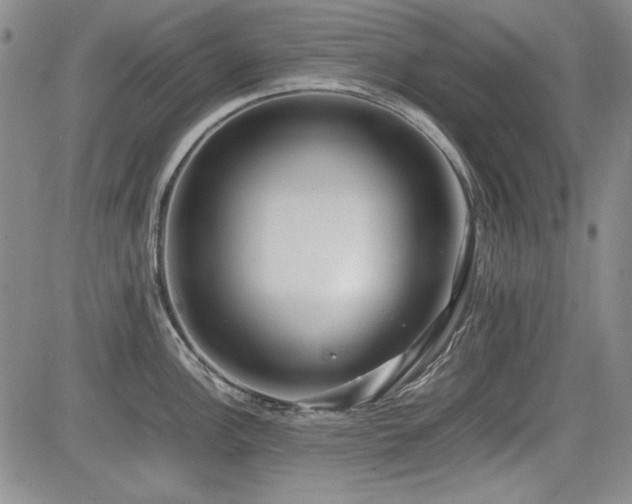 X0000085071148200703051400