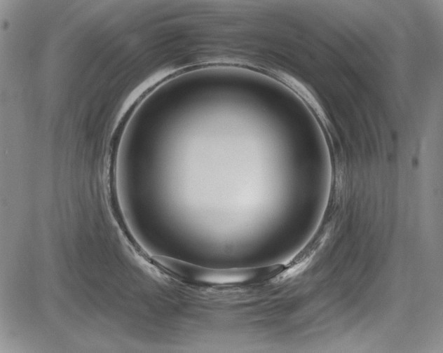 X0000085071149200703051400