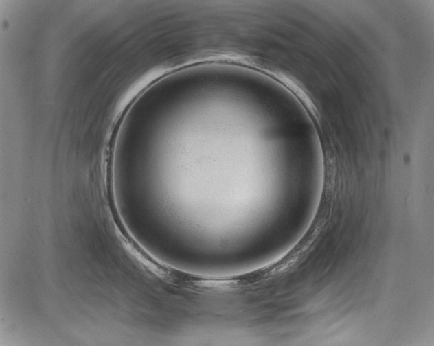 X0000085071151200703051400
