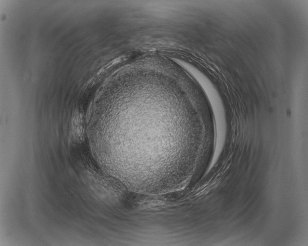 X0000085071156200703051359