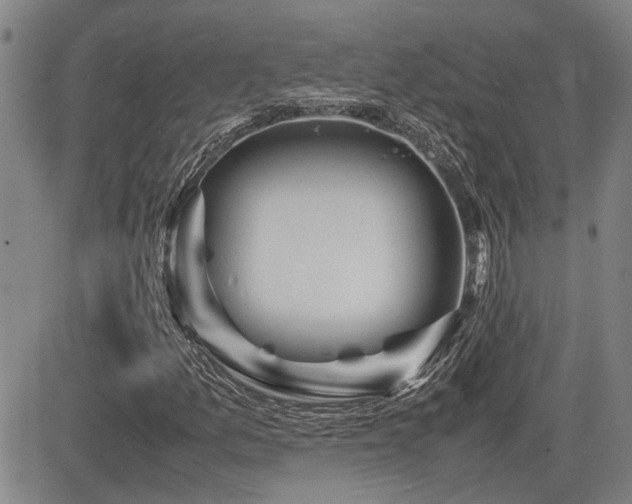 X0000085071157200703051359