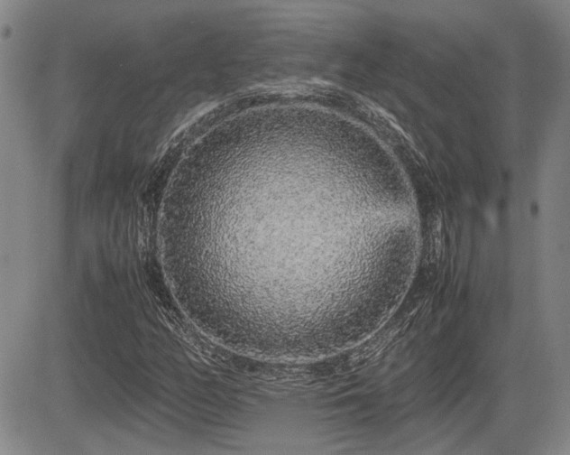 X0000085071158200703051359