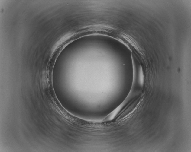 X0000085071164200703051359