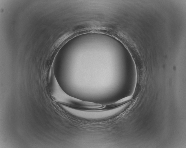 X0000085071169200703051359