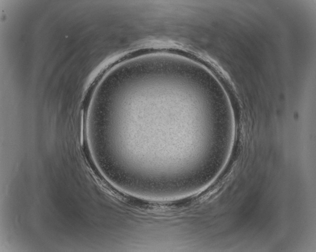X0000085071175200703051359