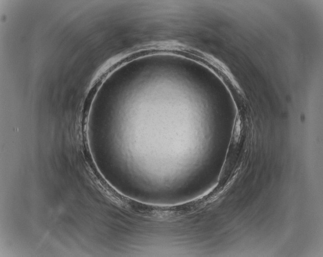 X0000085071176200703051359