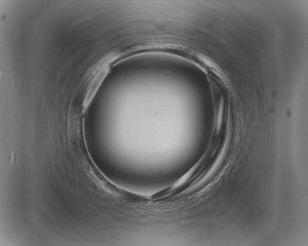 X0000085071177200703051359