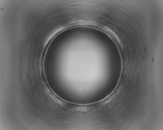 X0000085071182200703051358