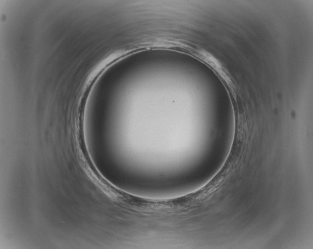 X0000085071187200703051358