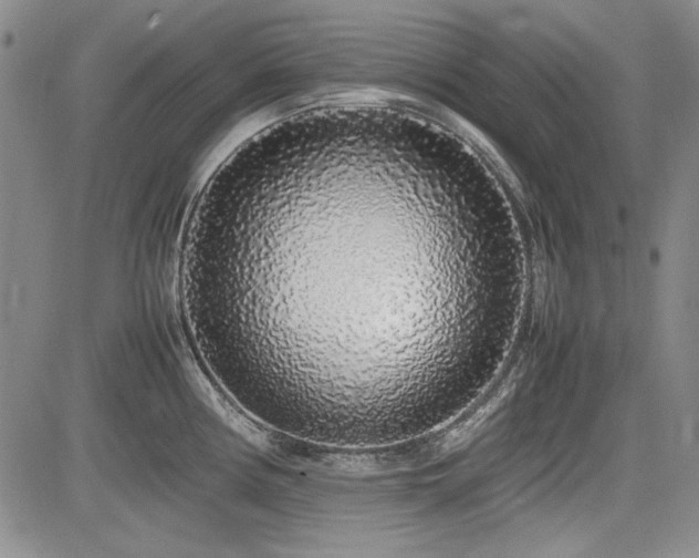 X0000085071194200703051358