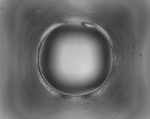 X0000085071195200703051358
